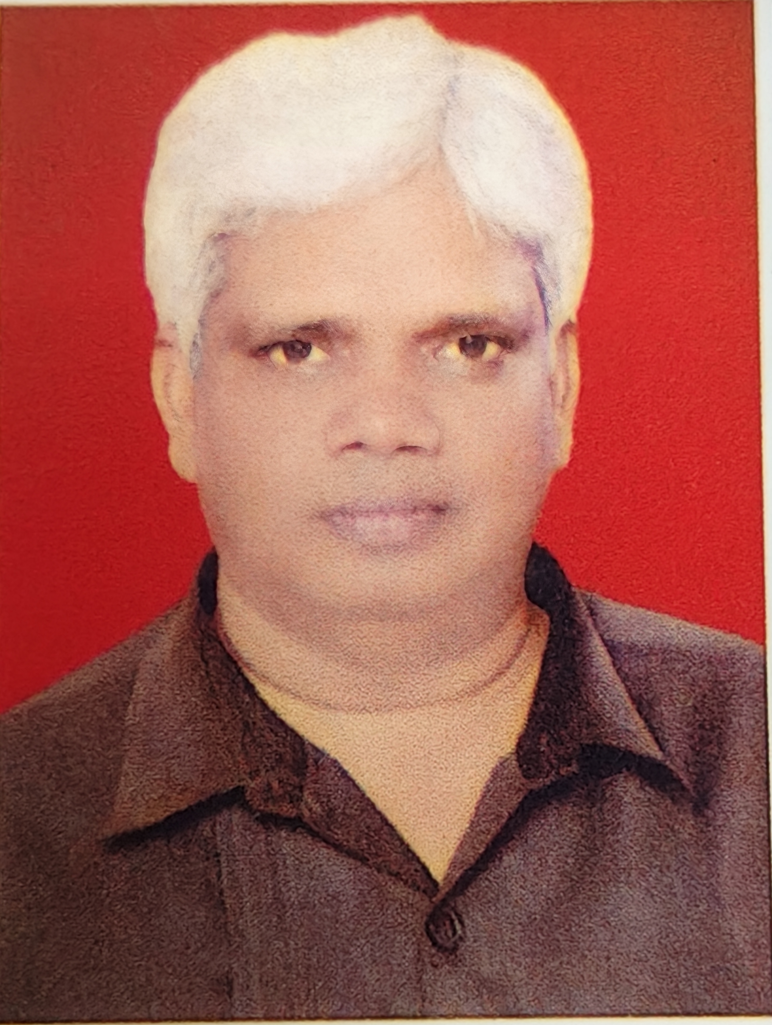 Dr. P. L. Patel